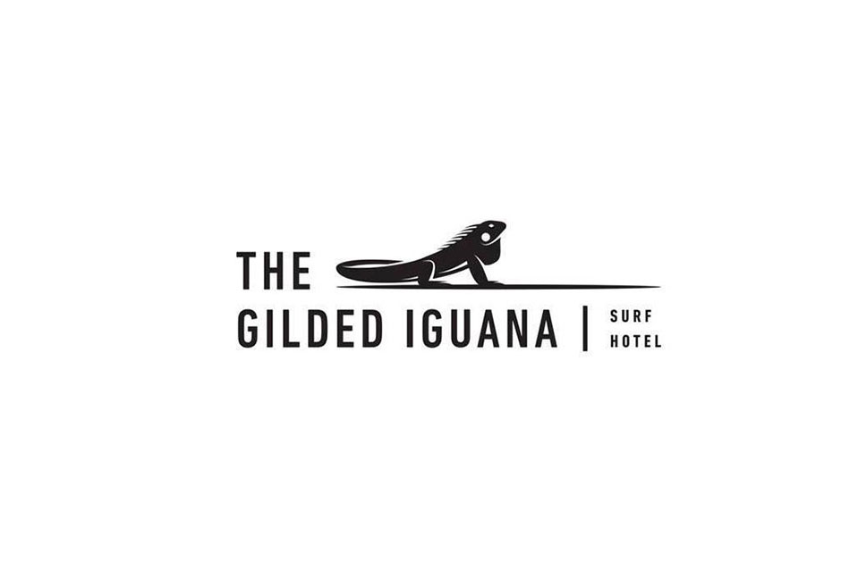 Gilded Iguana