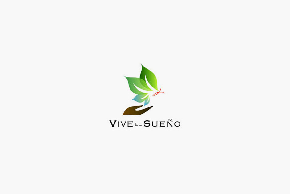 directory_non__profit_vivelsueno