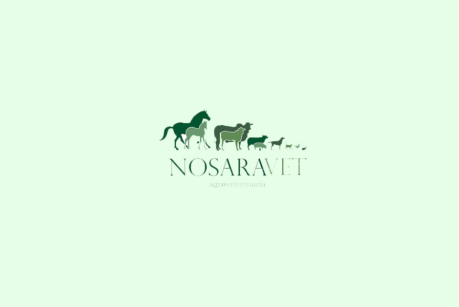 Nosara Vet