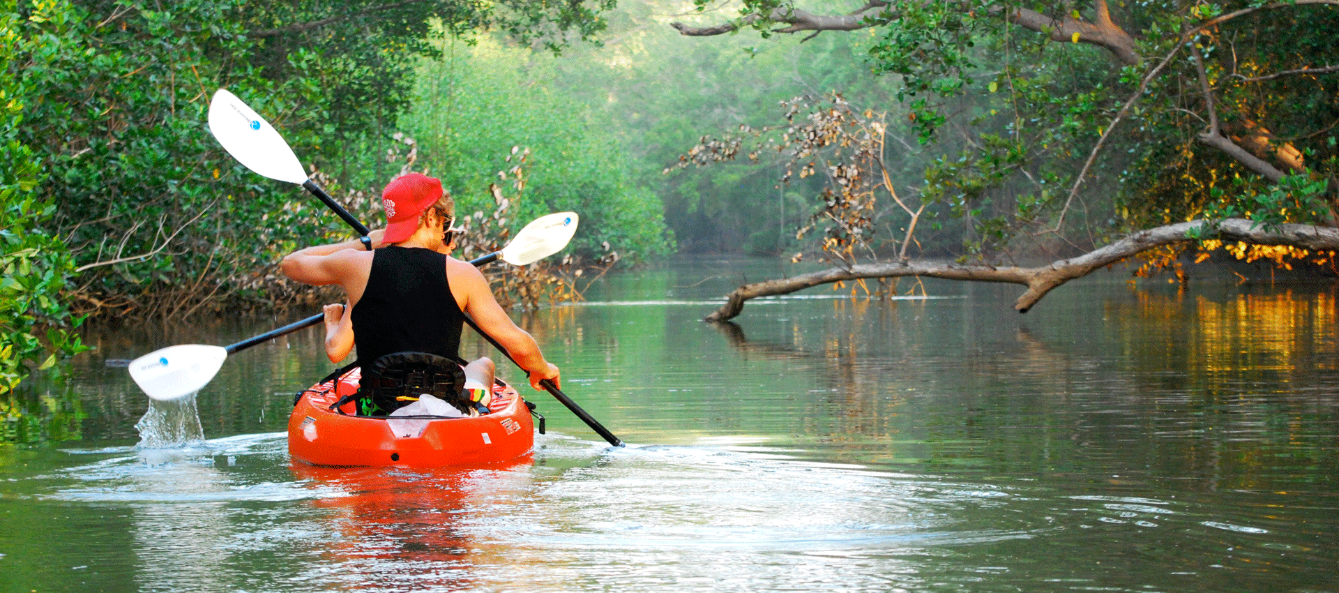 River tour nosara