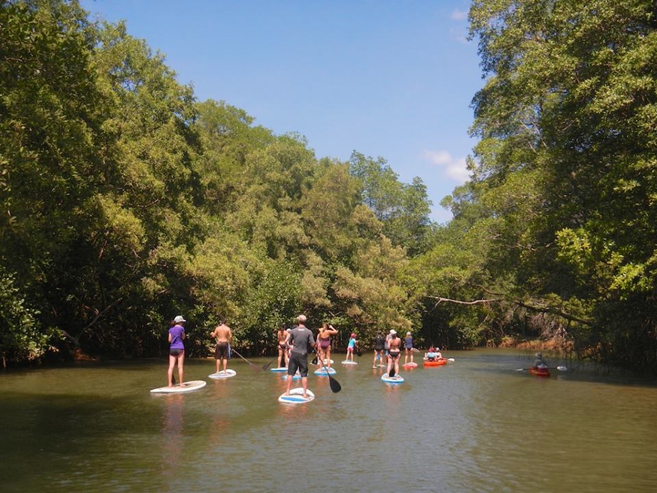 Stand Up Paddle Board nosara