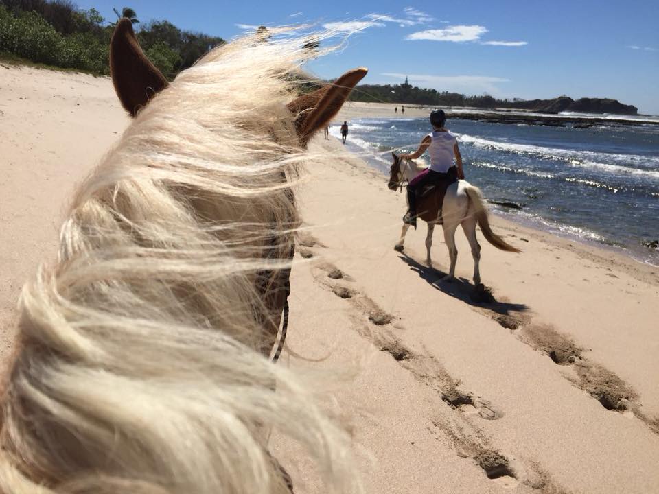 horse riding nosara