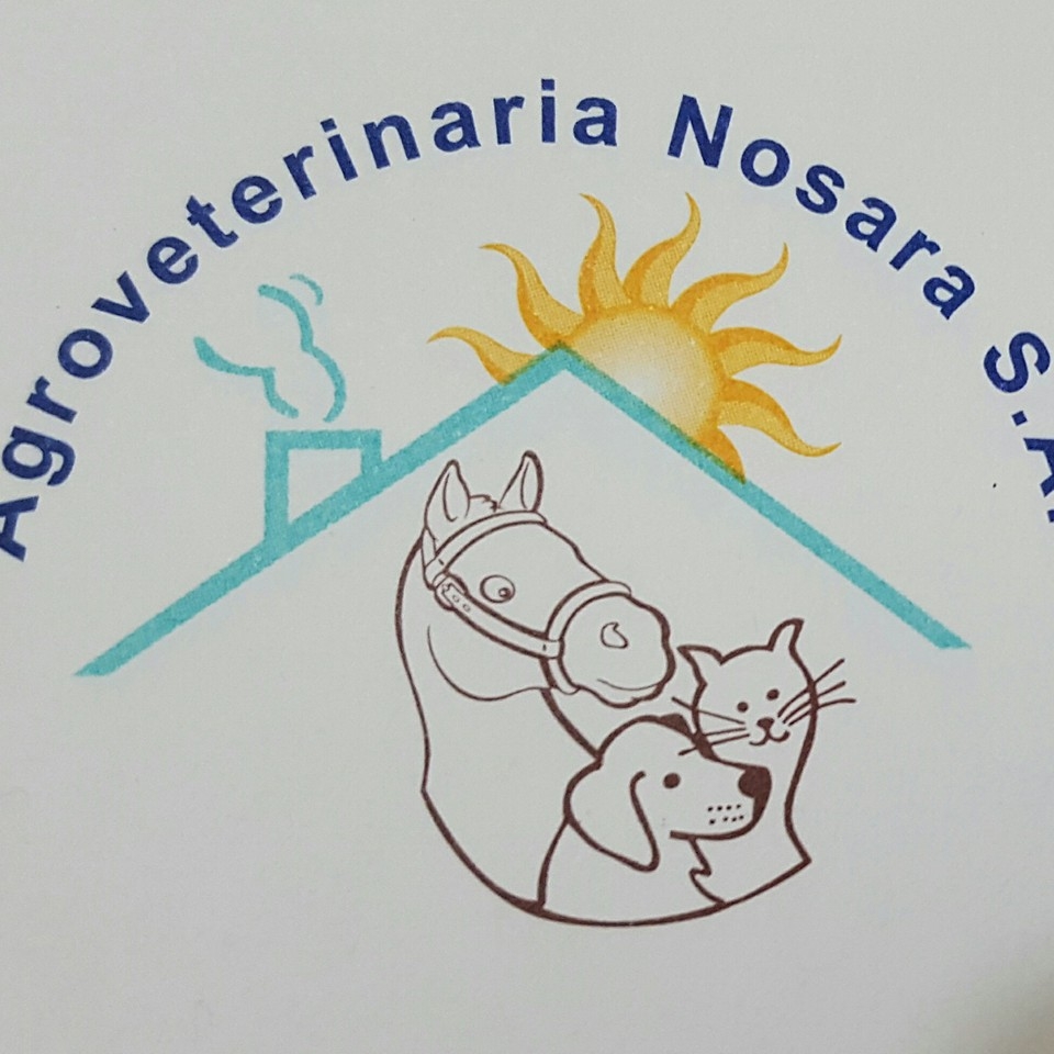 Pet Services - Nosara.com