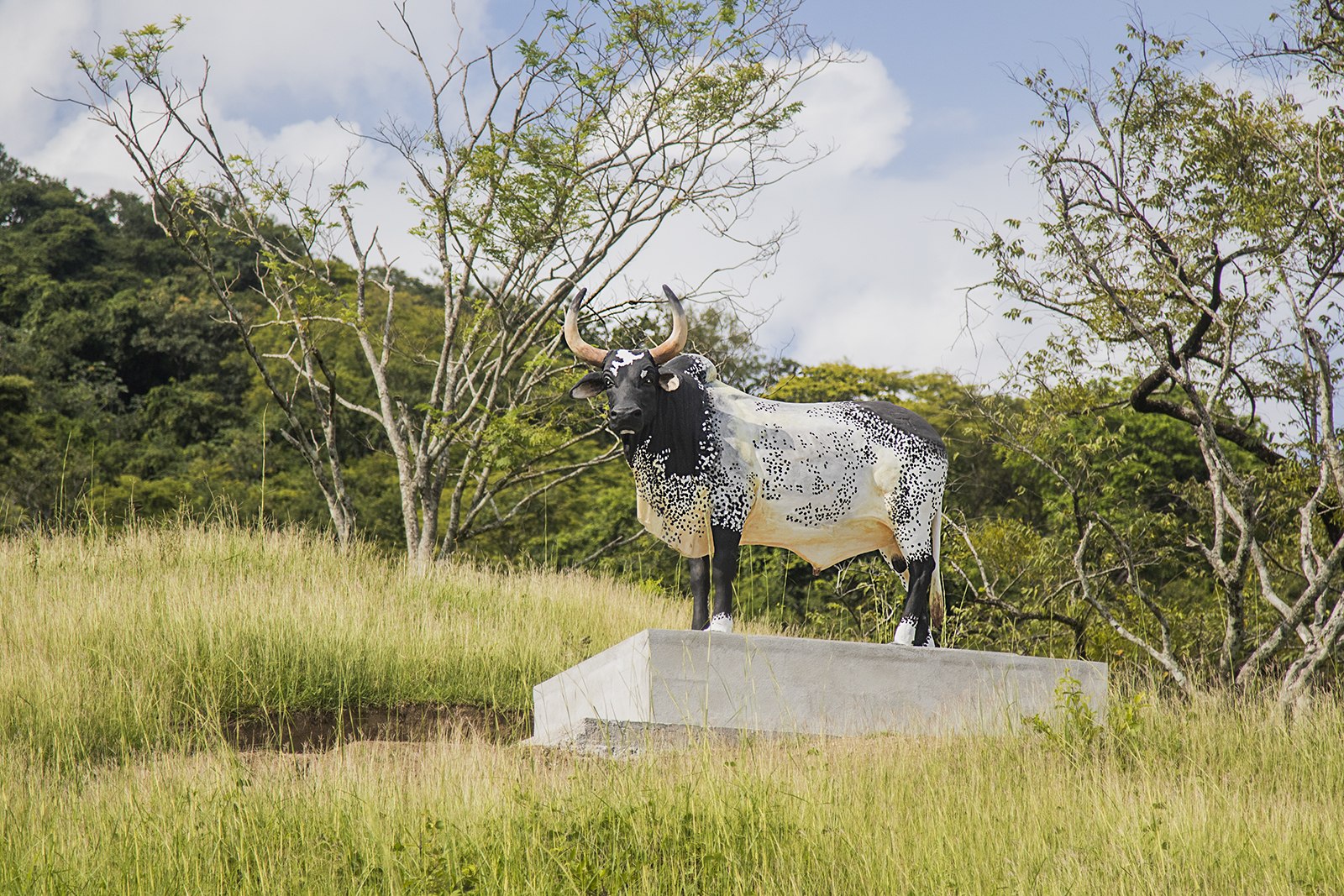 malacrianza garza