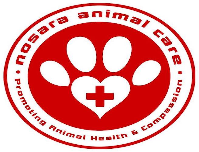 Nosara Animal Care